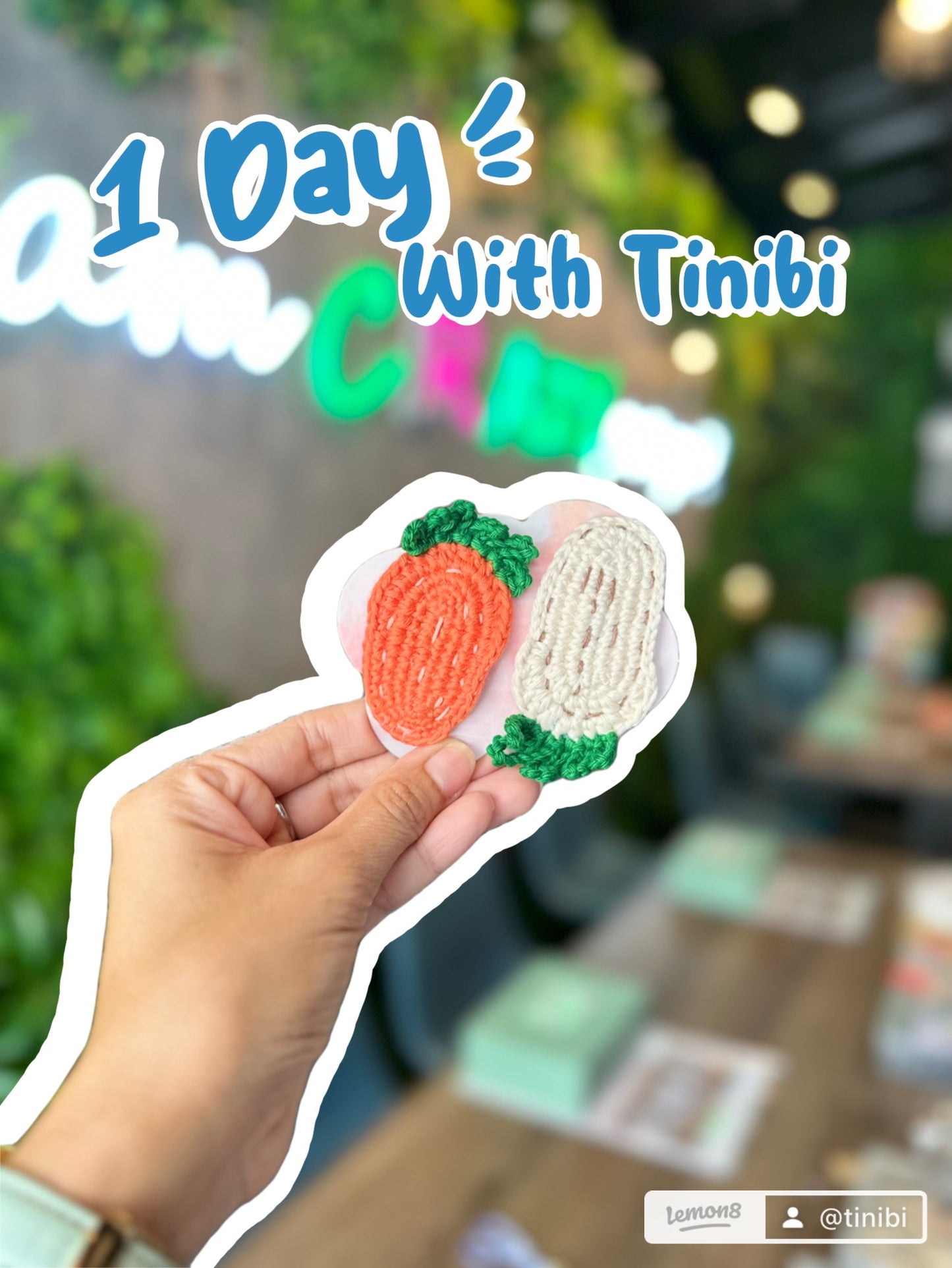 Private Crochet Workshop
